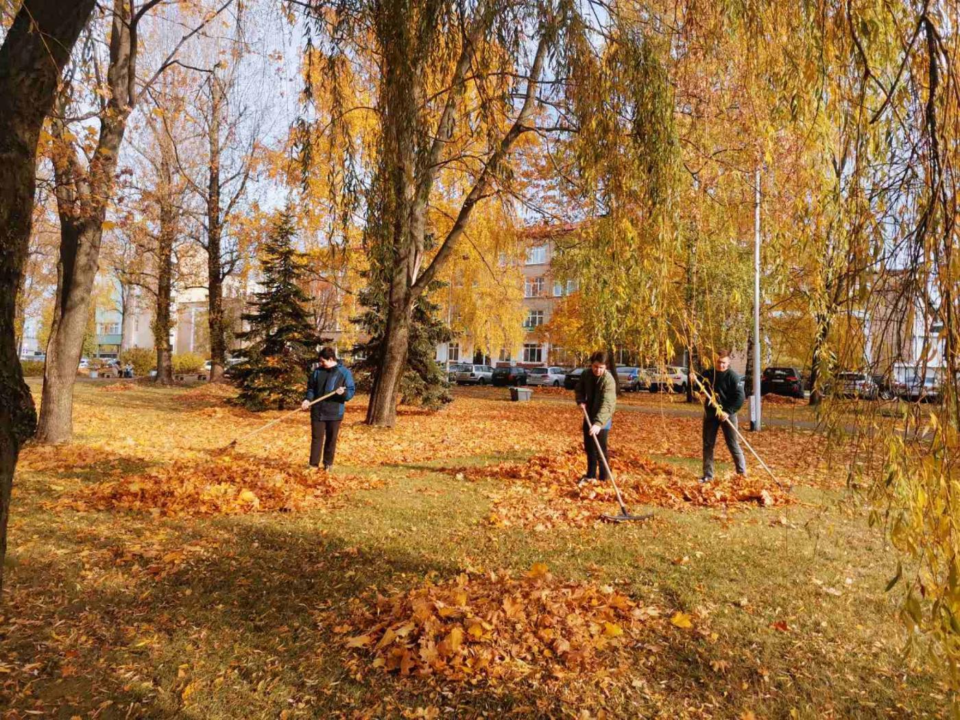 В филиале БНТУ «МГМК» проходит месячник по наведению порядка